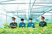 Lực lượng vũ trang huyện Bắc Tân Uyên: Đẩy mạnh tăng gia sản xuất nâng cao đời sống bộ đội